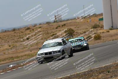 media/May-03-2025-Lucky Dog Racing (Sat) [[206de64b9d]]/Turn 6 (150pm-230pm)/